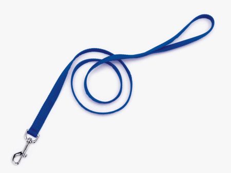 Coastal Single-Ply Nylon Dog Leash Blue 1ea 1 In X 4 ft Hot on Sale