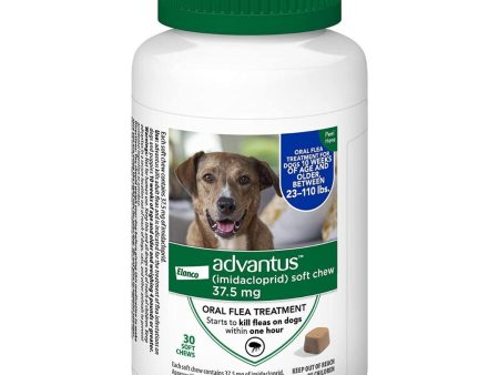 Advantus Dog Large 37.5Mg Soft Chew 30Ct. For Discount