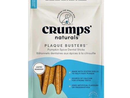 Crump Naturals Plaq Buster 7  Pumpkin Spice 10Pk Hot on Sale