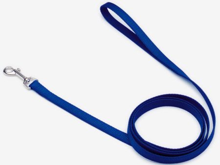 Coastal Single-Ply Nylon Dog Leash Blue 1ea 3 4 In X 6 ft Cheap