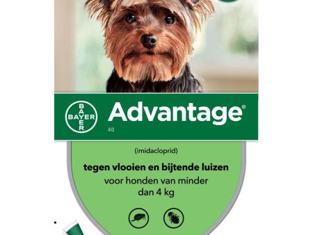 Advantage 40 Spot-On Hond <4kg For Sale