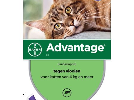 Advantage 80 Spot-On Kat 4-8kg Supply