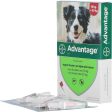 Advantage 250 Spot-On Hond 10-25kg Discount