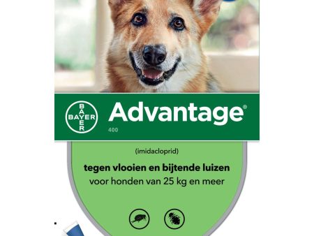 Advantage 400 Spot-On Hond 25-40kg Online Sale