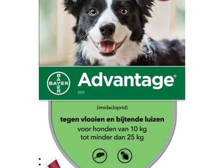 Advantage 250 Spot-On Hond 10-25kg Discount