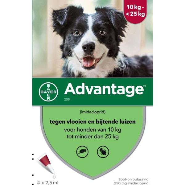 Advantage 250 Spot-On Hond 10-25kg Discount