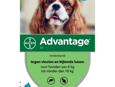 Advantage 100 Spot-on Hond 4-10kg Online Hot Sale