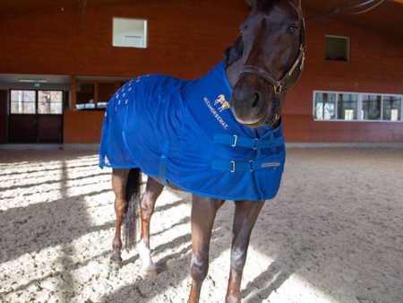 Accuhorsemat Deken Cooler zonder Accupressure Mat Blauw For Discount